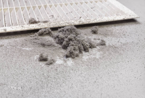 Best Best Air Duct Cleaning Company  in Spring Grove, IL