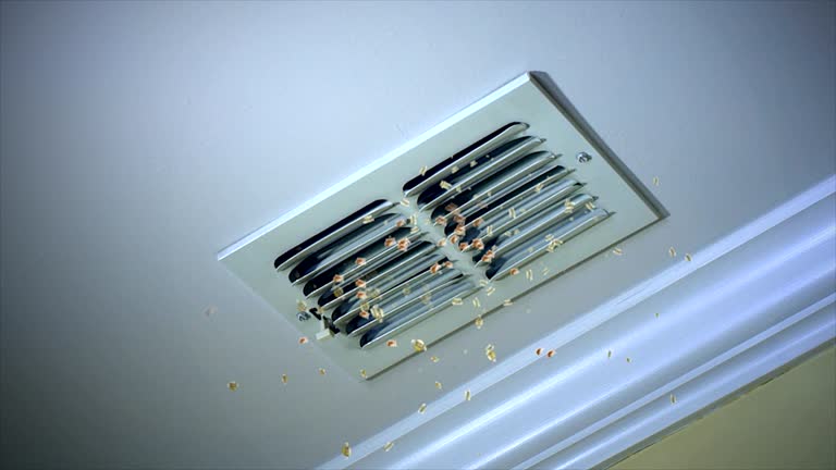 Best Affordable Duct Cleaning Services  in Spring Grove, IL