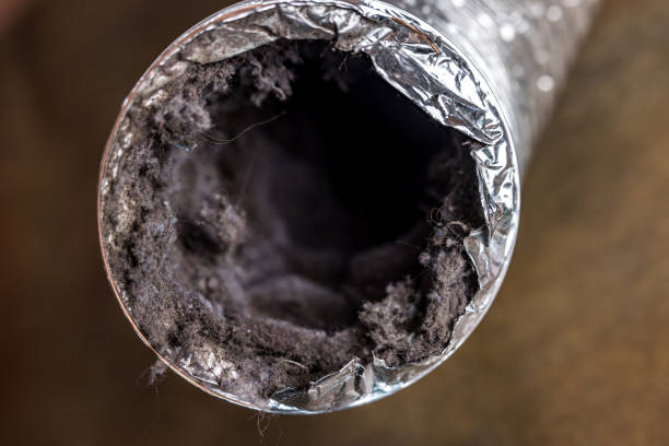 Best Home Air Vent Cleaning  in Spring Grove, IL