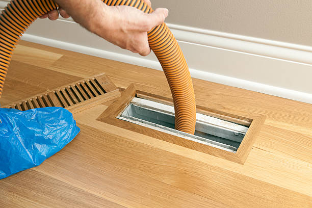 Best Air Duct Cleaning Near Me  in Spring Grove, IL
