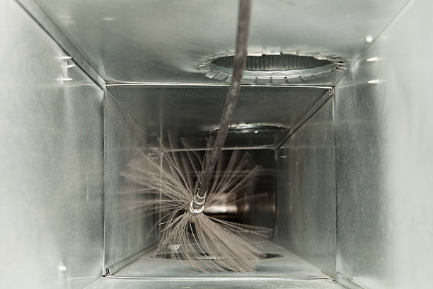 Best Affordable Duct Cleaning Services  in Spring Grove, IL