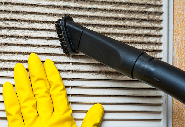 Best Ventilation Cleaning Services  in Spring Grove, IL